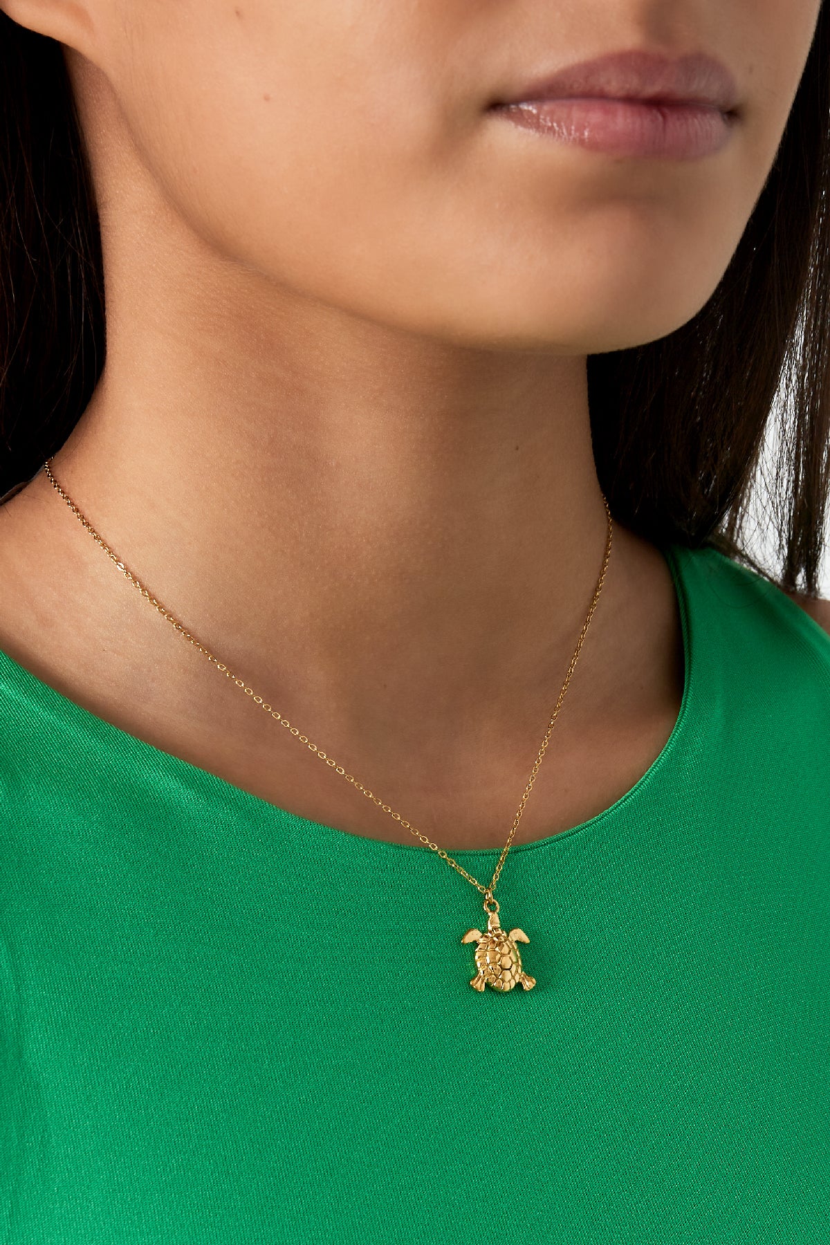 Turtle Kette