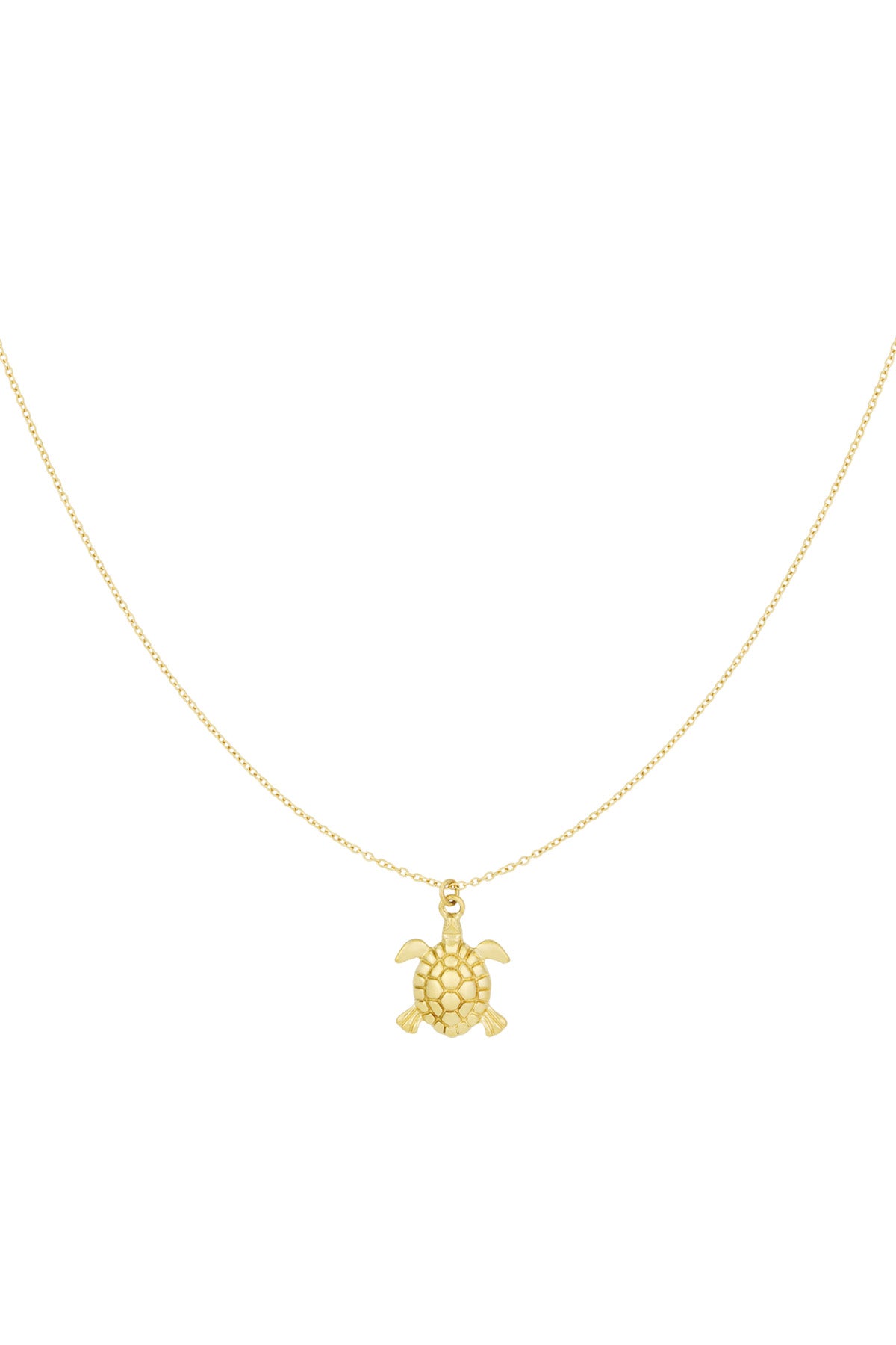Turtle Kette
