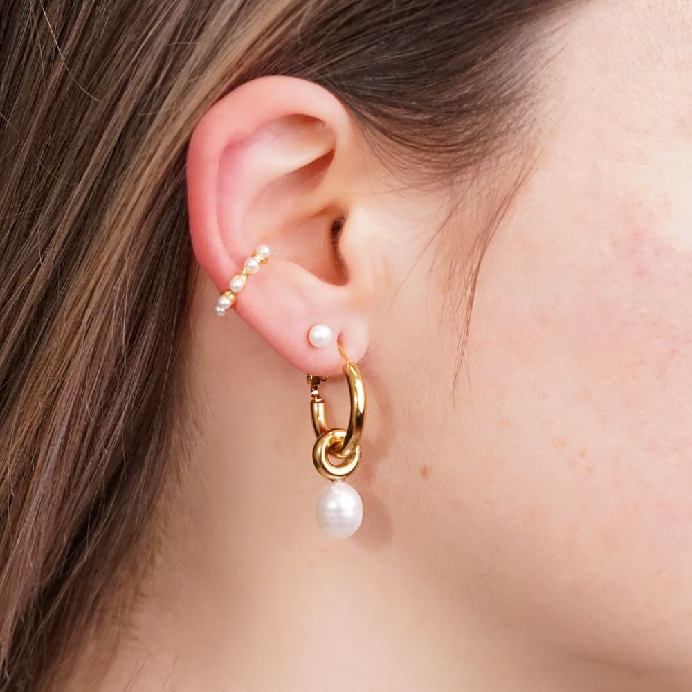 Simple Fresh Water Pearl Ohrringe